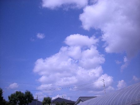 青雲